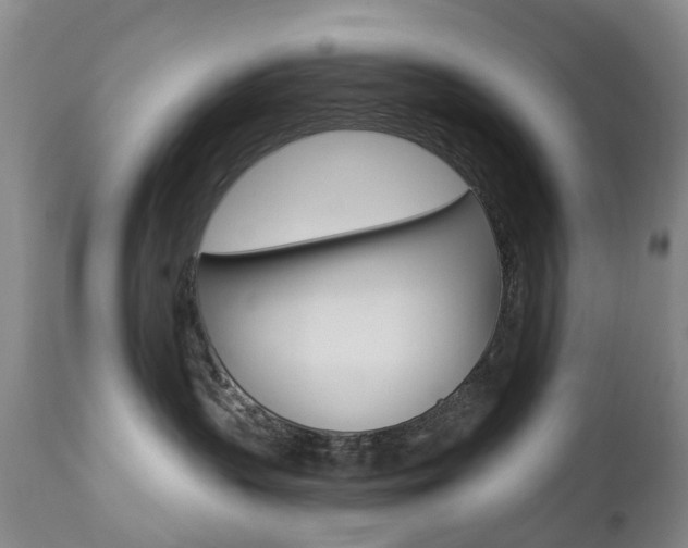 X0000112860383200908211101
