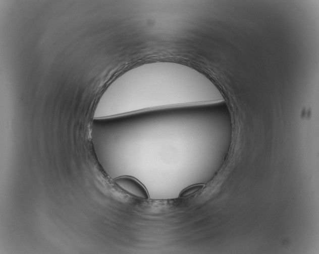 X0000112860384200908211101