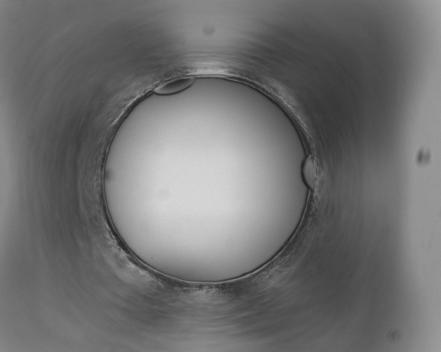 X0000112860385200908211100