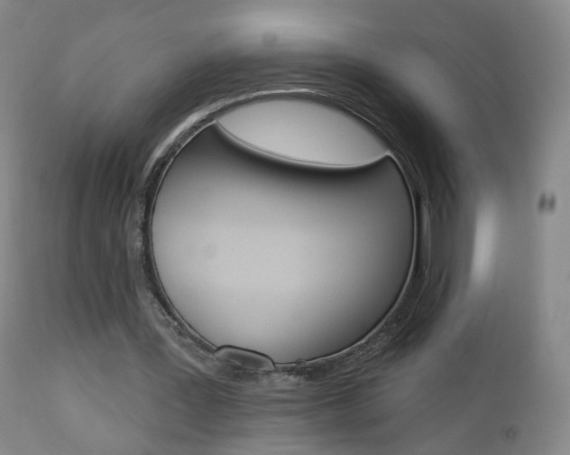 X0000112860387200908211100