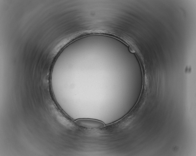 X0000112860389200908211100