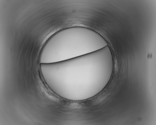 X0000112860390200908211100