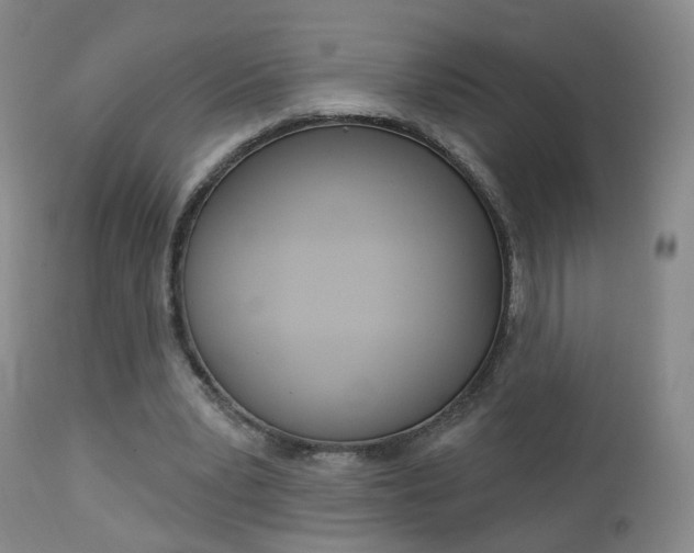 X0000112860391200908211100