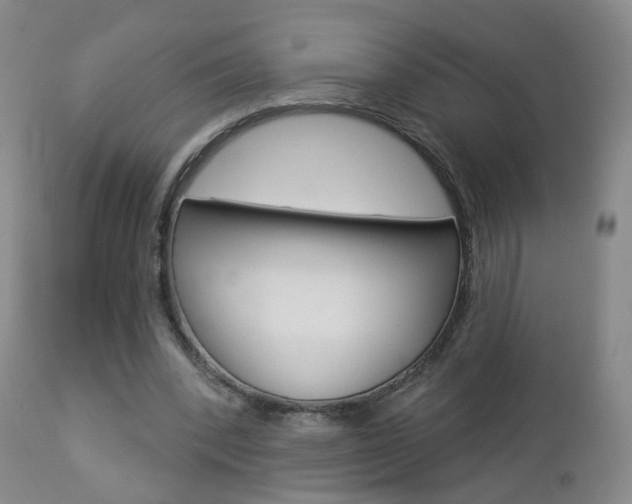 X0000112860392200908211100