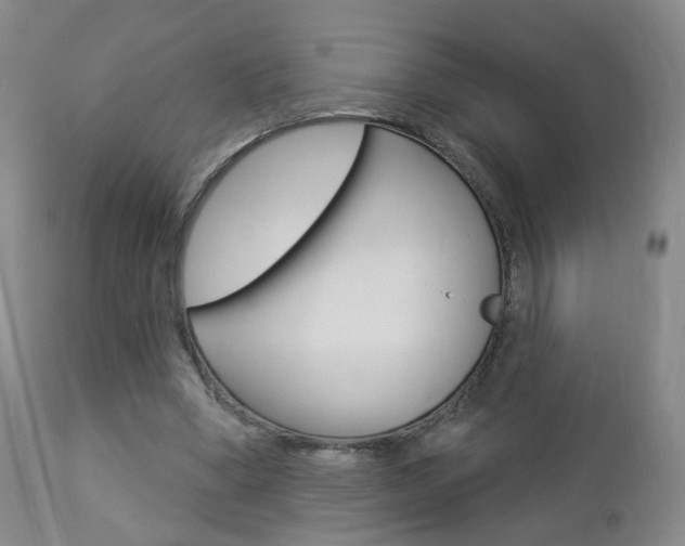 X0000112860394200908211100