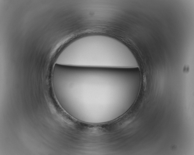 X0000112860396200908211100