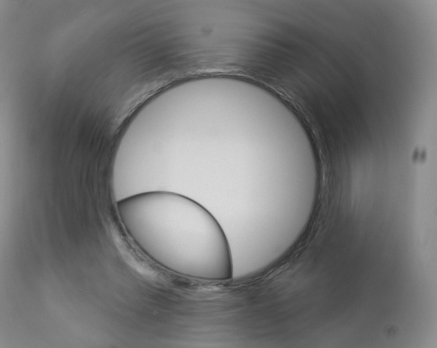 X0000112860397200908211100