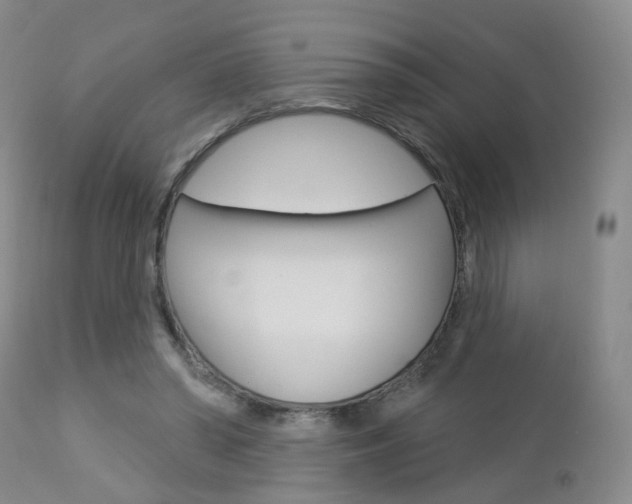 X0000112860398200908211100