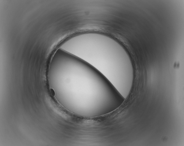 X0000112860399200908211100