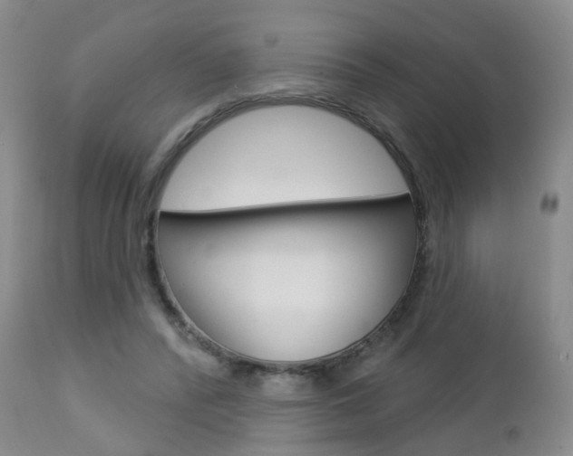 X0000112860400200908211100