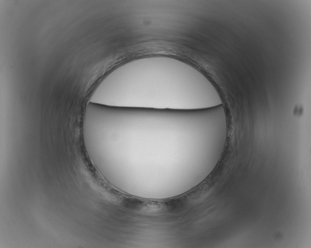 X0000112860402200908211100