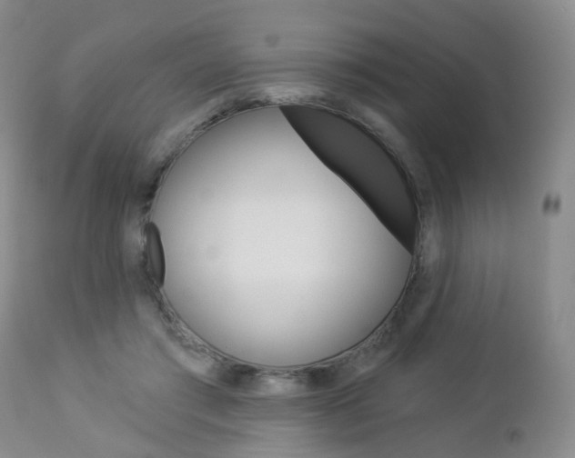 X0000112860405200908211100