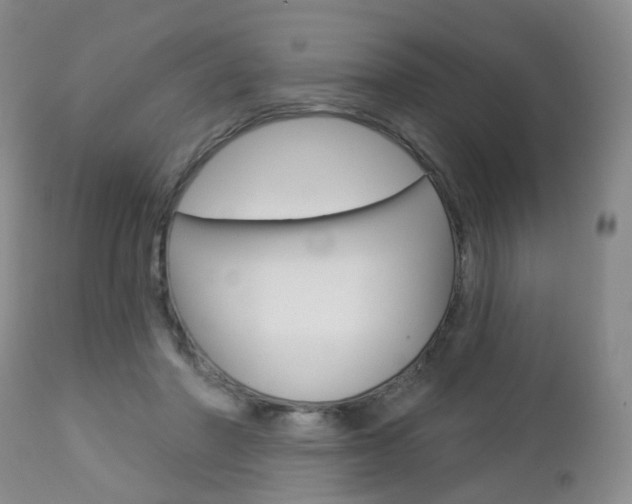 X0000112860406200908211100
