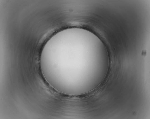 X0000112860407200908211100