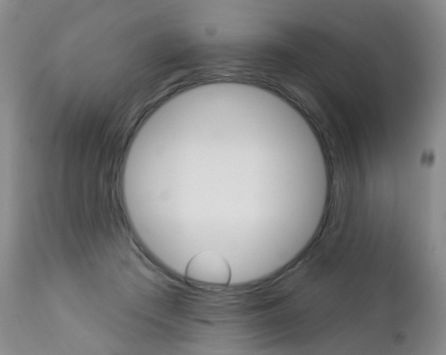 X0000112860409200908211100