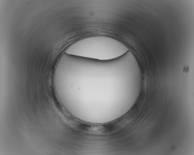 X0000112860410200908211100