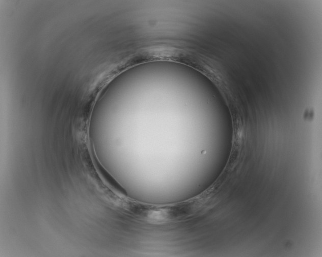 X0000112860411200908211100