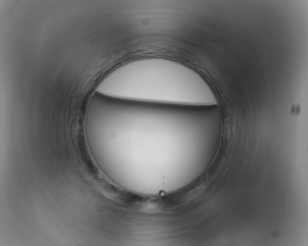 X0000112860412200908211100