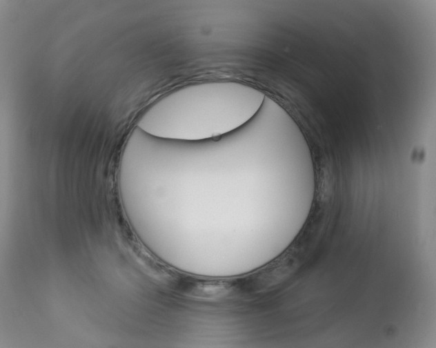X0000112860414200908211100