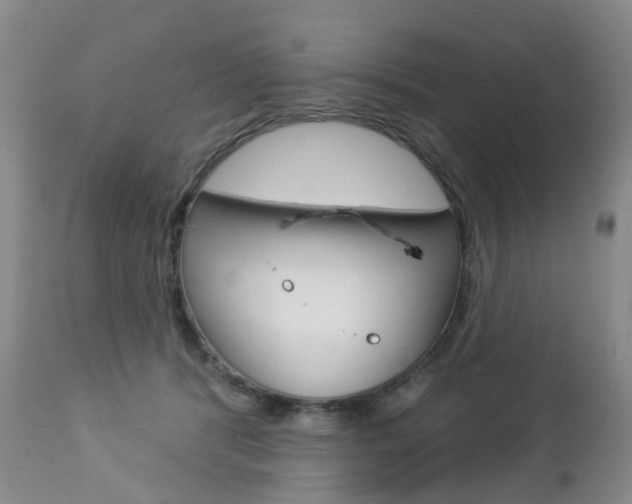 X0000112860416200908211100