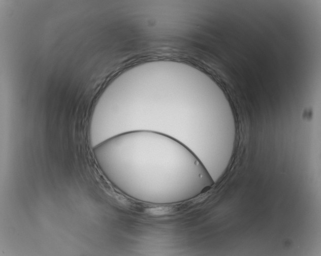 X0000112860417200908211100