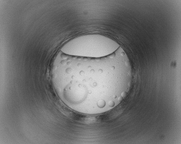 X0000112860418200908211100
