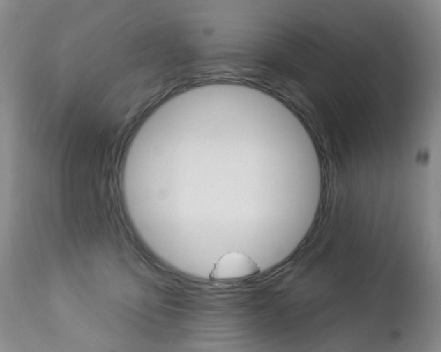 X0000112860419200908211100
