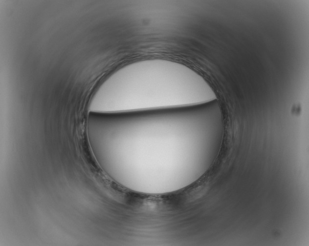 X0000112860420200908211100