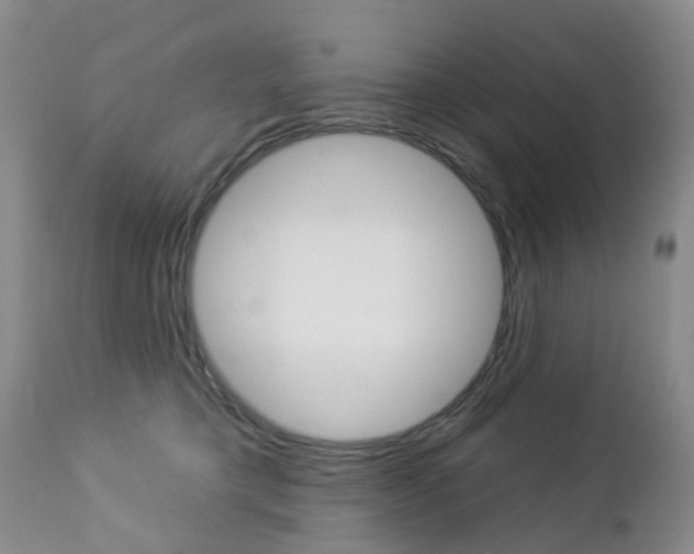 X0000112860421200908211100