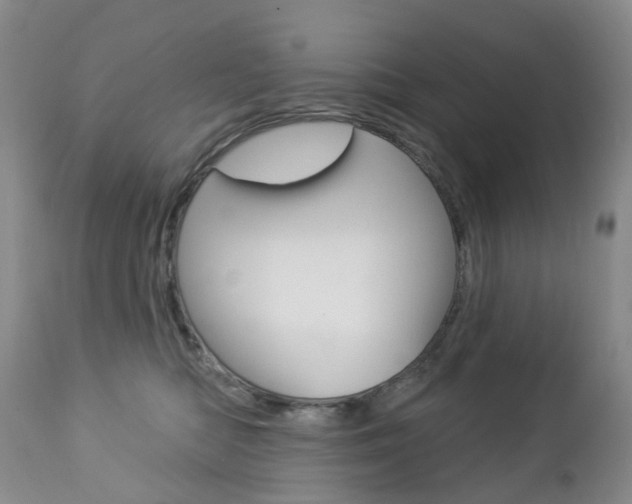 X0000112860422200908211100