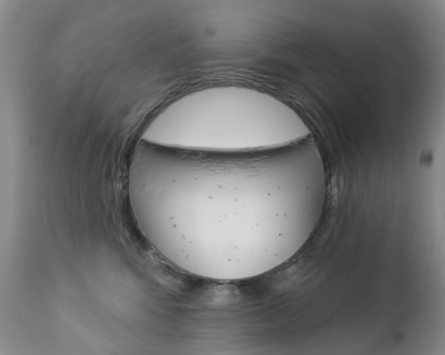 X0000112860424200908211059