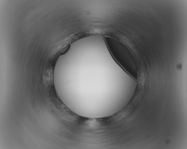 X0000112860425200908211059