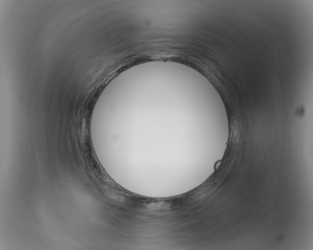 X0000112860426200908211059