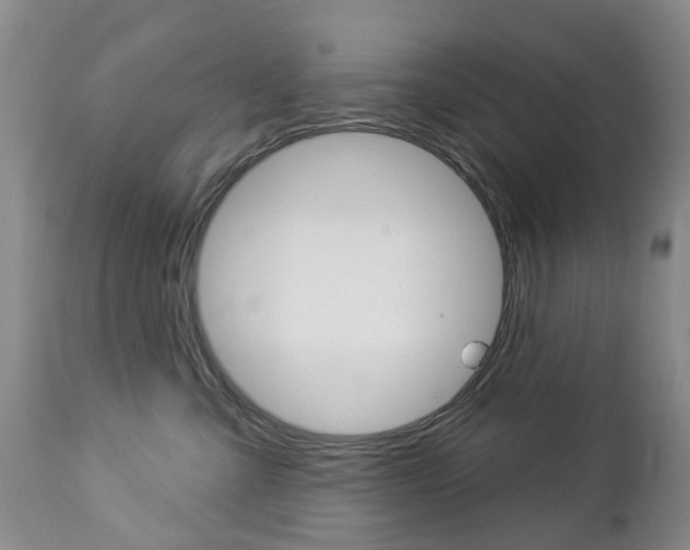 X0000112860427200908211059