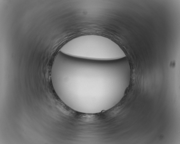 X0000112860428200908211059