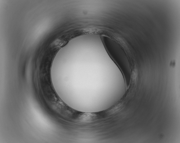 X0000112860429200908211059