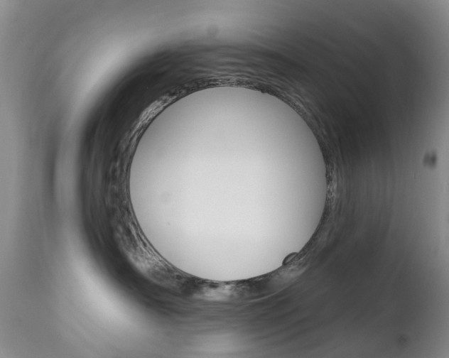 X0000112860430200908211059