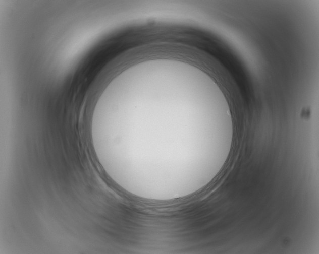 X0000112860431200908211059