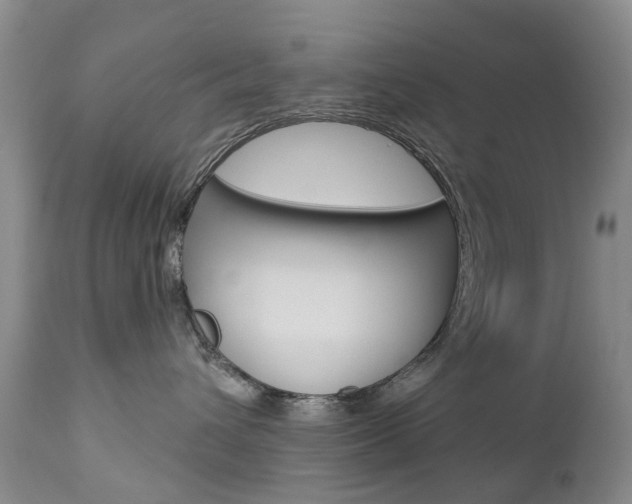 X0000112860432200908211059