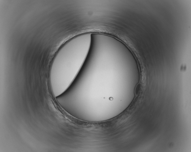 X0000112860434200908211059