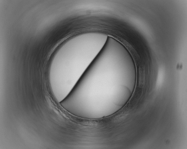X0000112860435200908211059