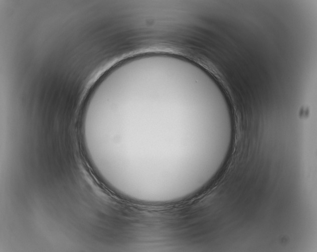 X0000112860436200908211059