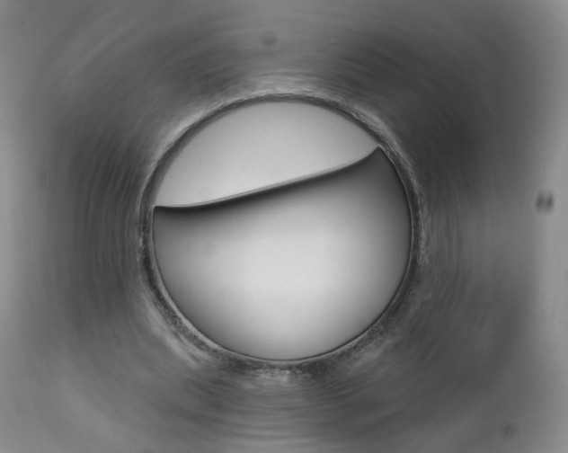 X0000112860439200908211059