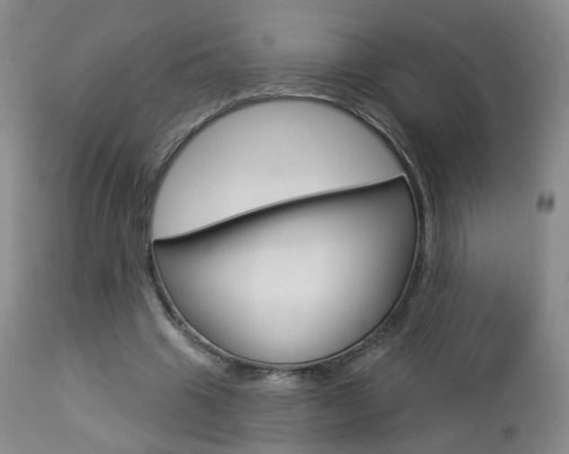 X0000112860441200908211059