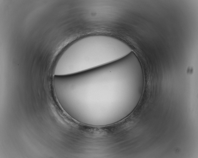 X0000112860443200908211059