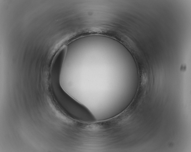 X0000112860444200908211059