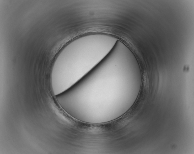 X0000112860445200908211059