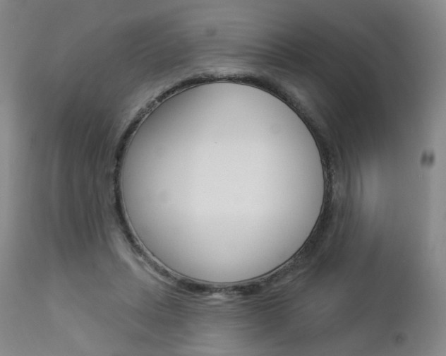 X0000112860447200908211059