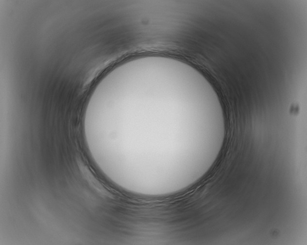 X0000112860448200908211059