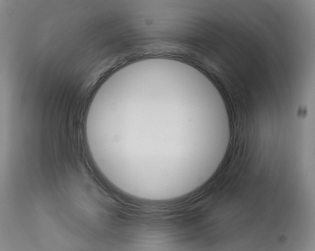 X0000112860452200908211059